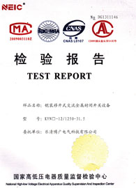 檢驗(yàn)報(bào)告